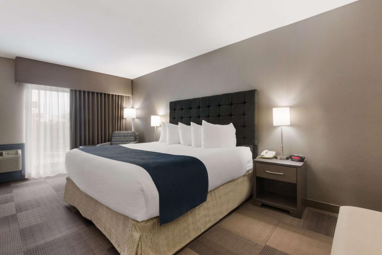 Best Western St Catharines Hotel & Conference Centre Sainte-Catherine Exteriér fotografie